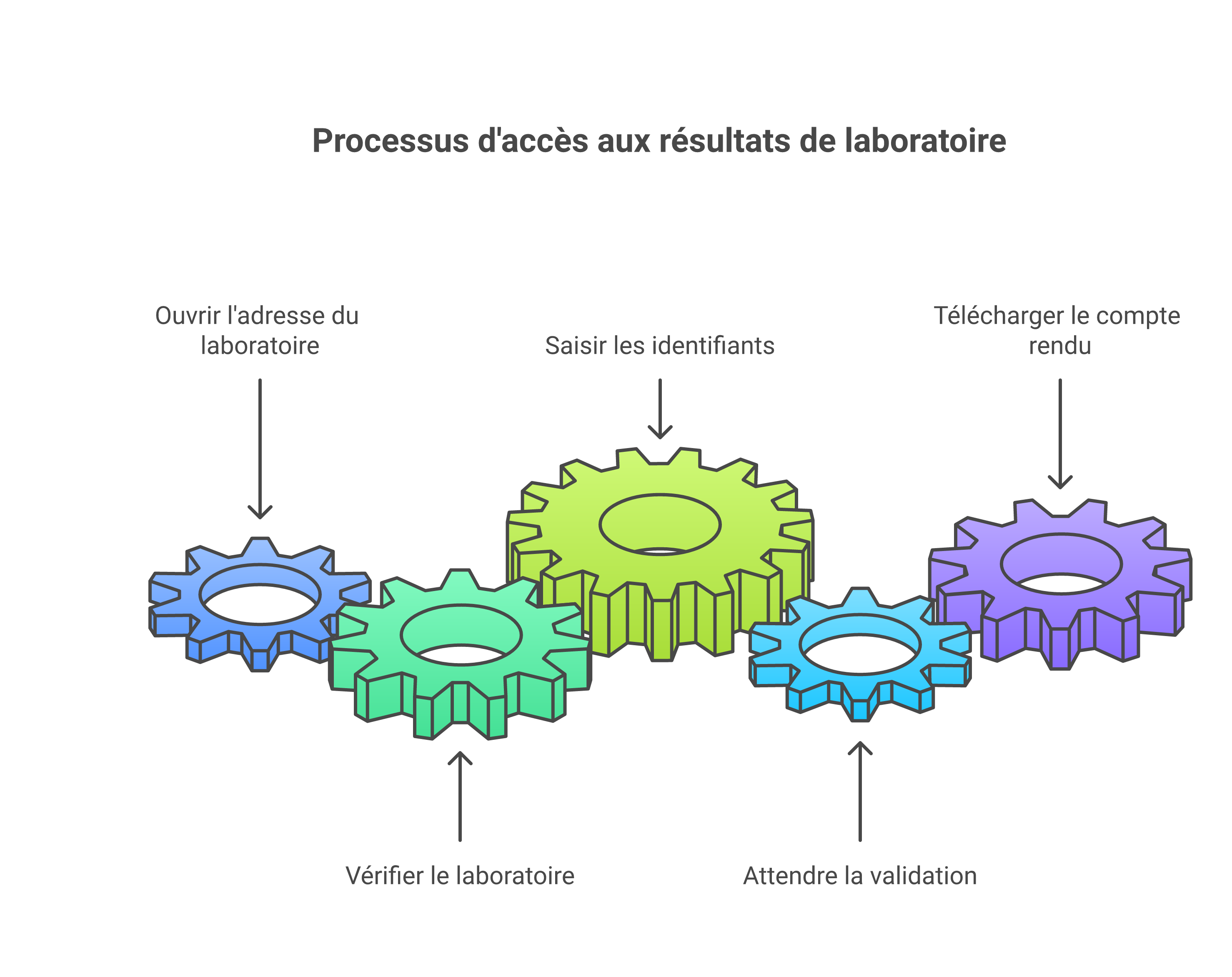 Étapes pour se connecter à Biofutur et consulter ses résultats