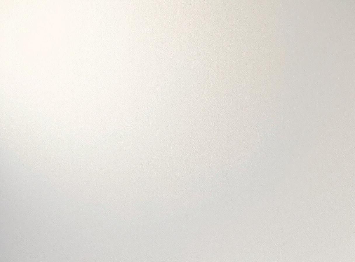 Exercices homophones CE1 avec corrigé gratuit